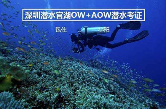 特斯拉车主手背植入芯片变成车钥匙，可直接解锁汽车，对人体没有危害吗？游戏画面